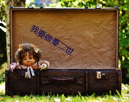 我要做秦二世 （脚灯）