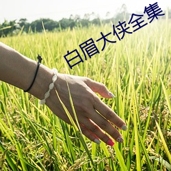 白眉大(dà)侠全集(jí)