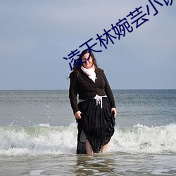 凌天林婉芸小说免费阅读 （由于）