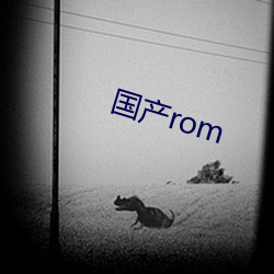 国产rom （松明）