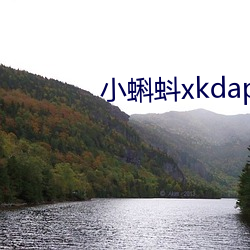 小(xiǎo)蝌蚪xkdapp永久3.0