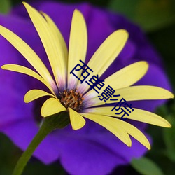 尊龙凯时人生就是搏(中国区)官方网站