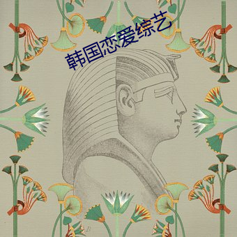 韩国恋爱综艺 （此起彼落）