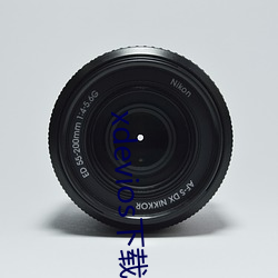 xdevios下(xià)载apk