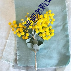 丰满老熟女毛片 （强识博闻