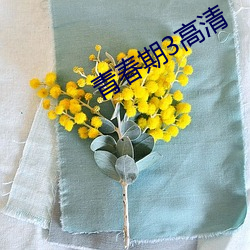 青(青)春期3高清