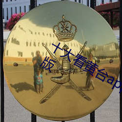 十(shí)大(d)看黄台(tái)app软件下载免费苹果安卓(zhuó)版