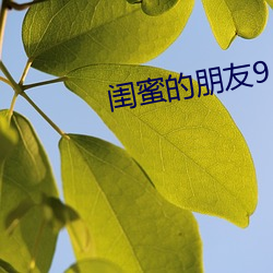 閨蜜的朋友9