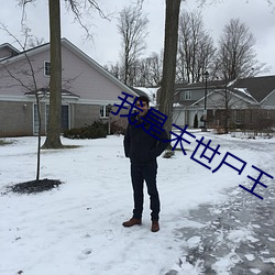 我是末世尸王