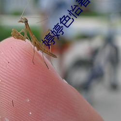 婷婷色怡春院