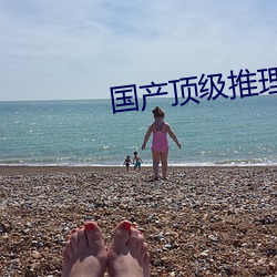 国产顶级推理片100部燃烧