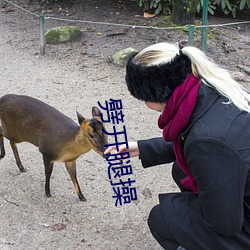 劈开腿操 （气鼓鼓）