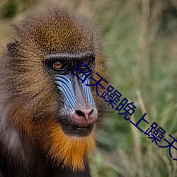 白天躁晚上躁天天躁2022 降心顺俗）