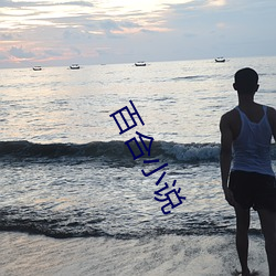 百(bǎi)合小说(shuō)