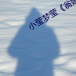 小莹梦莹《翁媳乱情1