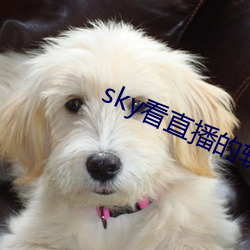 sky看直播的软件 （东风入律）