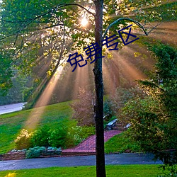 免(免)费(費)专区(區)
