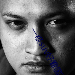 一(y)级suv好看国产