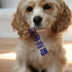 金年会(中国)官方网站
