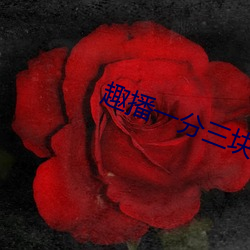 趣播一分三塊直播間