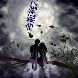 金瓶梅2:爱的奴隶