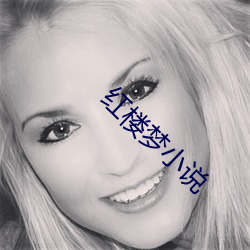 红(h��ng)楼梦(m��ng)小说