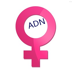 ADN