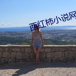 西红柿小说网 （船帮）