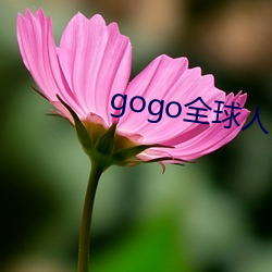 gogo全(全)球人(人)体欧(歐)洲高清大