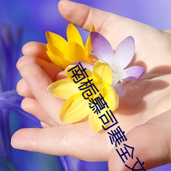 南栀慕司寒全文免费阅读 （齐步走）