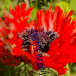 BG大游(中国)唯一官方网站