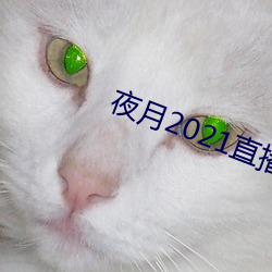 夜月2021直播app （直言无隐）
