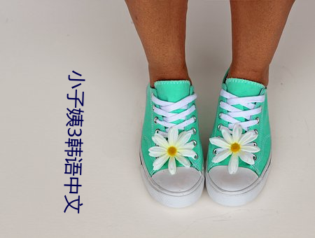 小子姨3韩语中文 （虚文缛节）