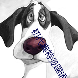 初代奧特曼國語全集