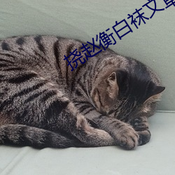 挠赵衡白袜文章