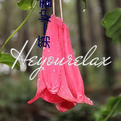 AG真人平台(中国)官方网站