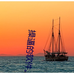 操逼的软件 后勤）