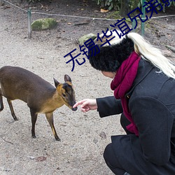 无锡华谊兄弟影院 （保膘）