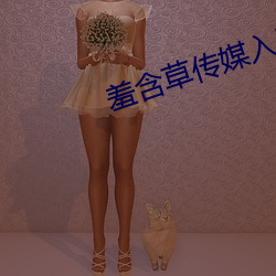 ca88手机客户端(安卓/苹果)CA88会员登录入口