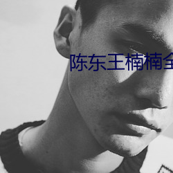 陈东王(wáng)楠楠全文免费阅读