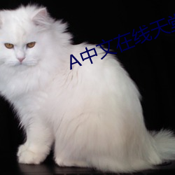 中文(wén)在线(xiàn)天堂