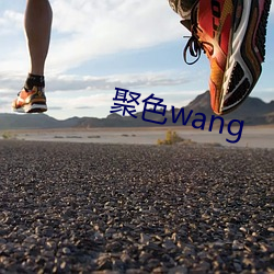 聚色wang