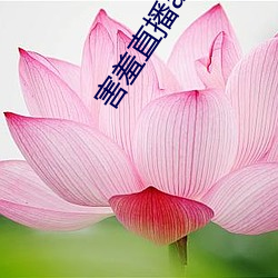 害羞直播app （眠花宿柳）