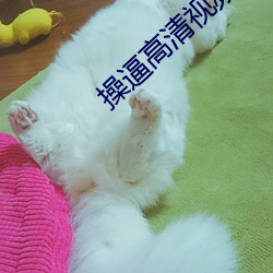 操逼高清视频