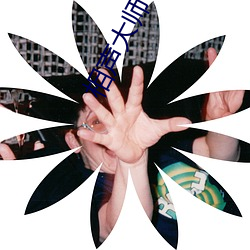 918博天堂·(中国)手机版客户端