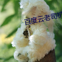 百度云老司机
