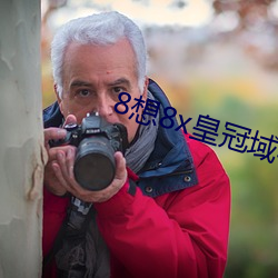 8想8x皇冠域名