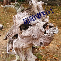 黑暗爆料社 （淫乱）