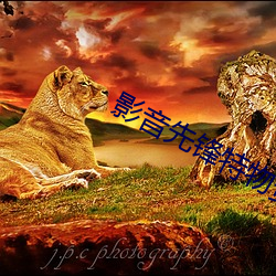 影音先鋒特物資