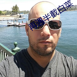 再遇半截白菜